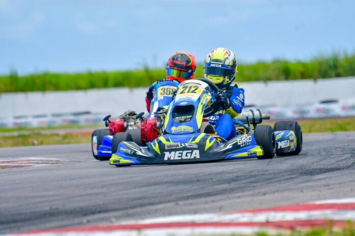 458475_1177420_mega_kart1_web_